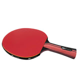 Professional Ping Pong Paddle – High Control Table Tennis Racket